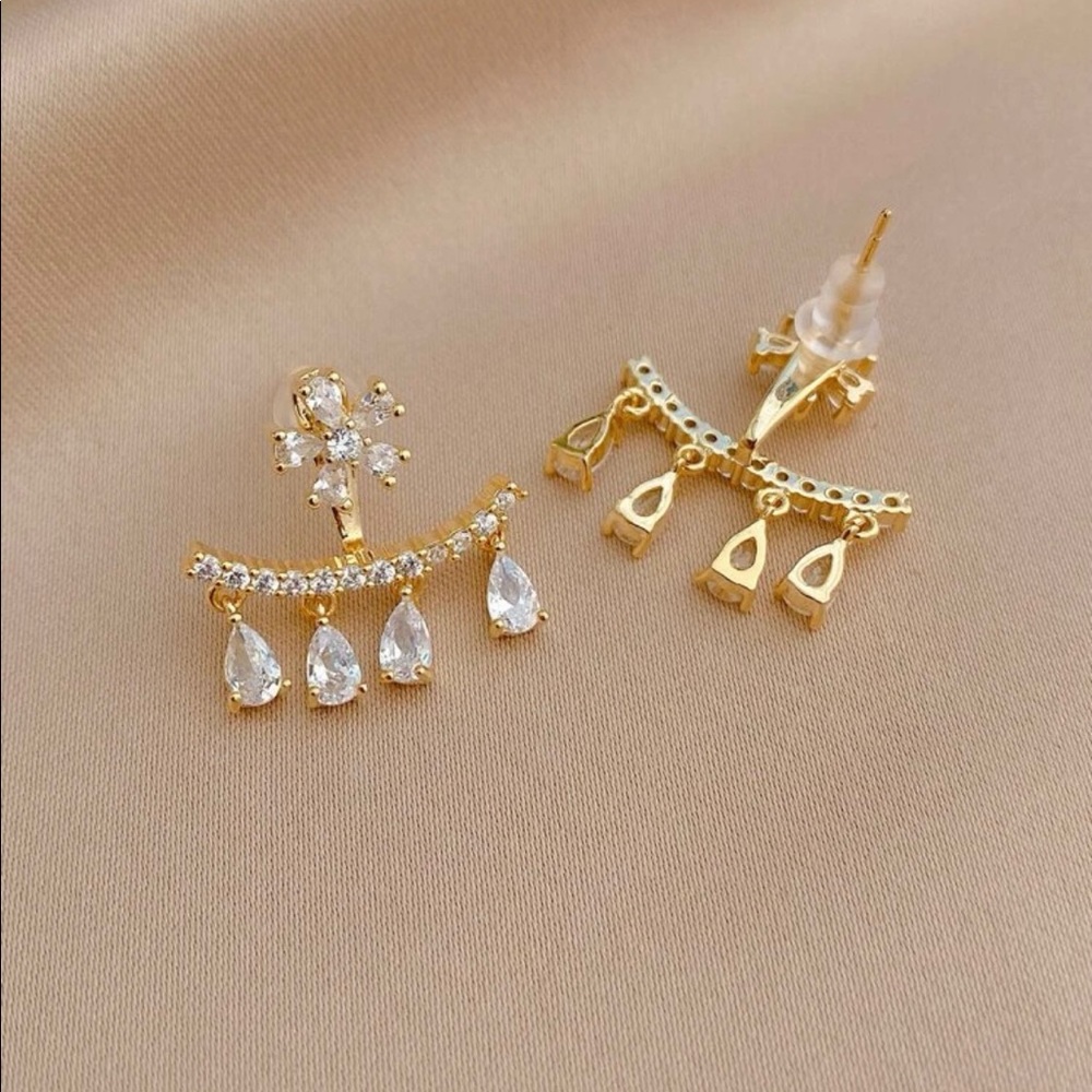 Fashion earrings